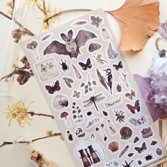 3 for $15 - NEW The Naturalist Sticker Sheet with‎ Insect & Plant Stickers - Picture 3 of 3